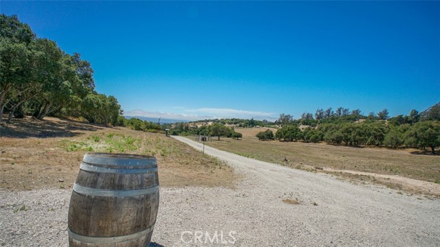 MLS #BB25220816 image #5