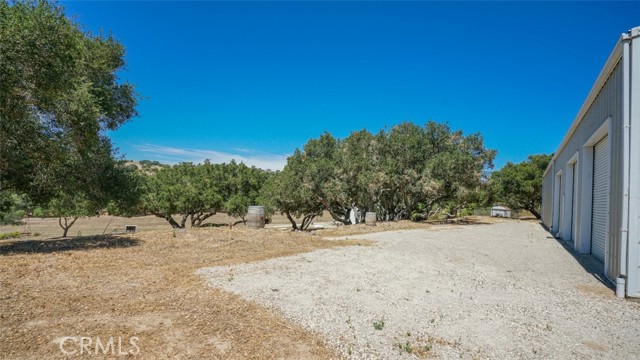 MLS #BB25220816 image #6