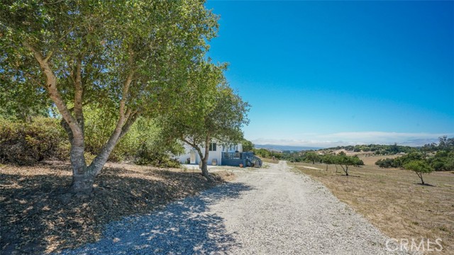 MLS #BB25220816 image #7