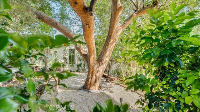 MLS #BB25227932 img 64