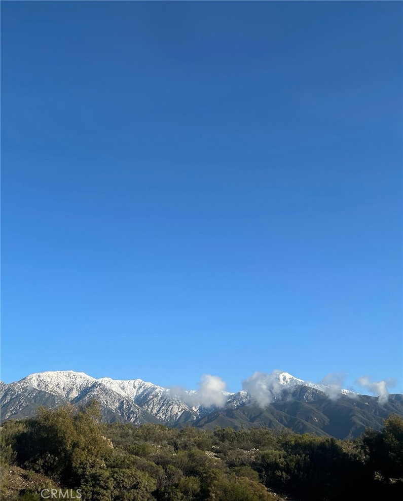 MLS #CV25035661 image #67