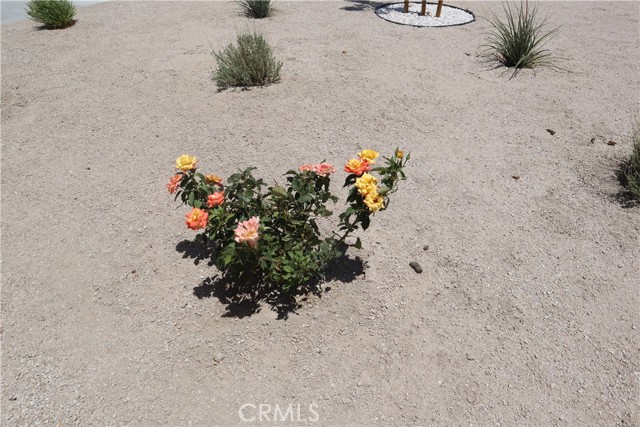 MLS #CV25093562 image #9