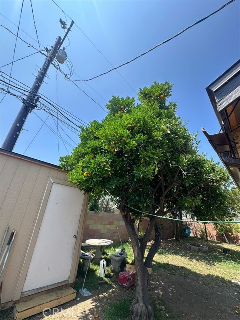 MLS #CV25129645 image #46