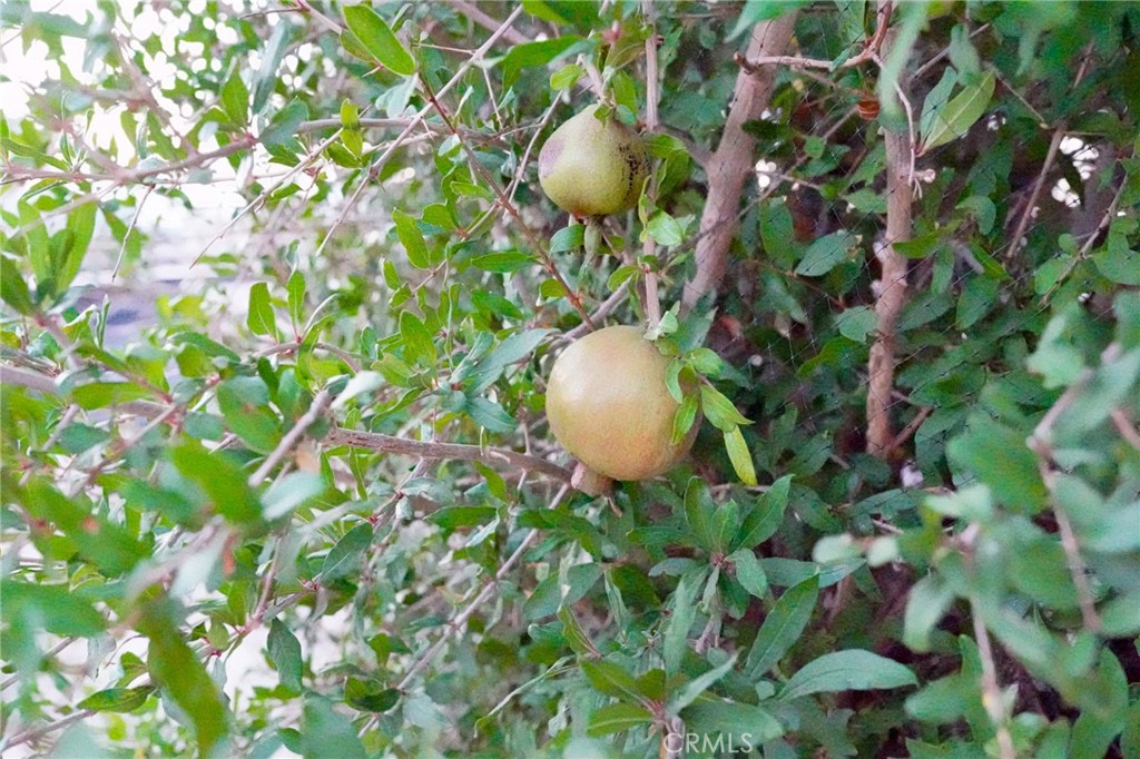 MLS #CV25130442 image #12