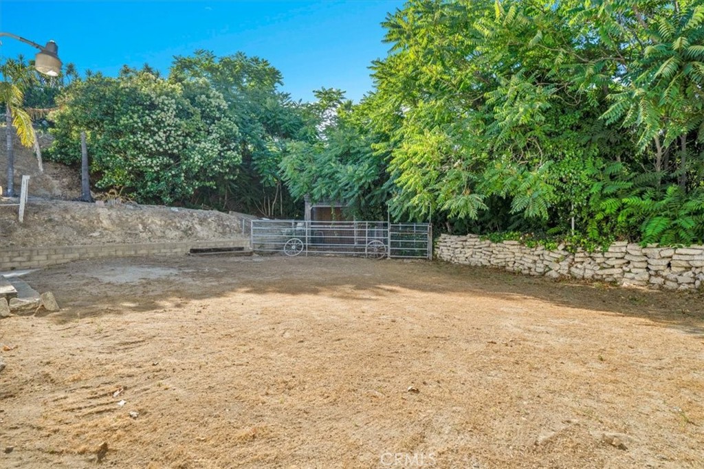 MLS #CV25152976 image #62