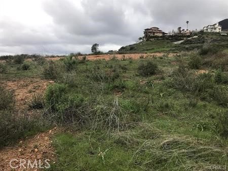 MLS #CV25164539 image #6