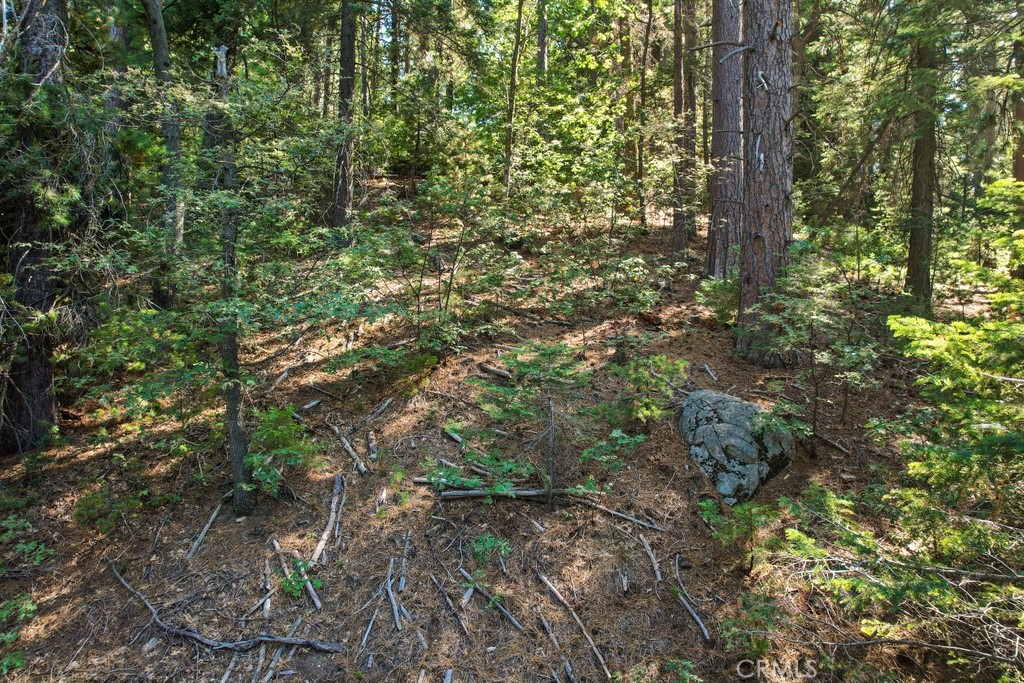 MLS #CV25180497 image #4