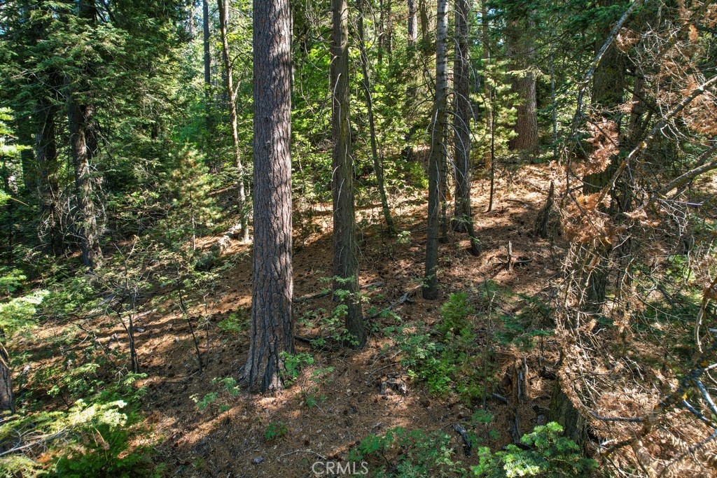 MLS #CV25180497 image #6