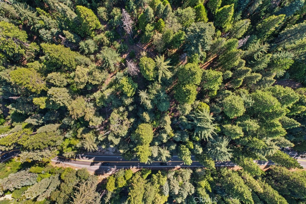 MLS #CV25180497 image #7