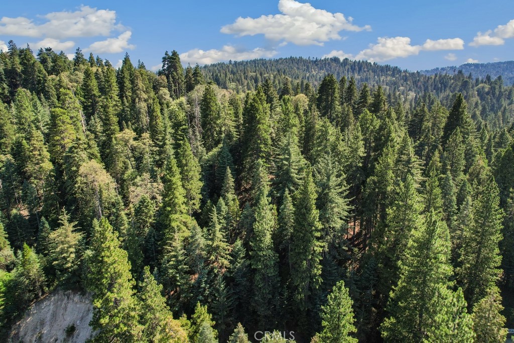 MLS #CV25180497 image #8