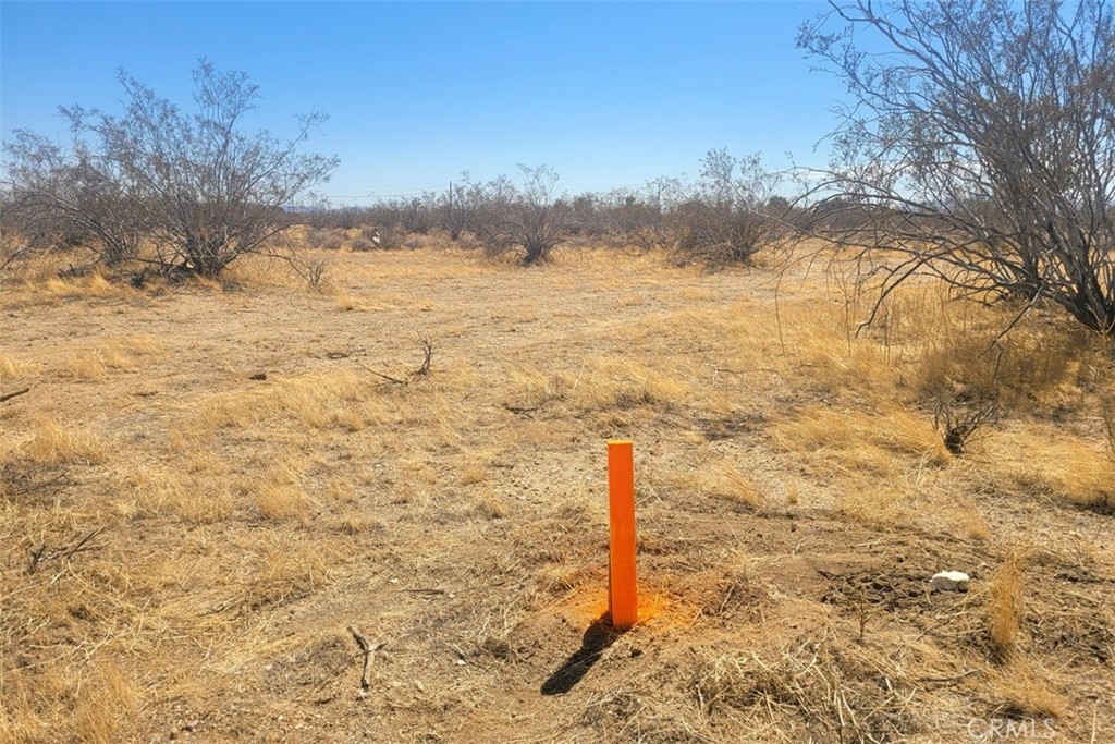 MLS #CV25182130 image #2