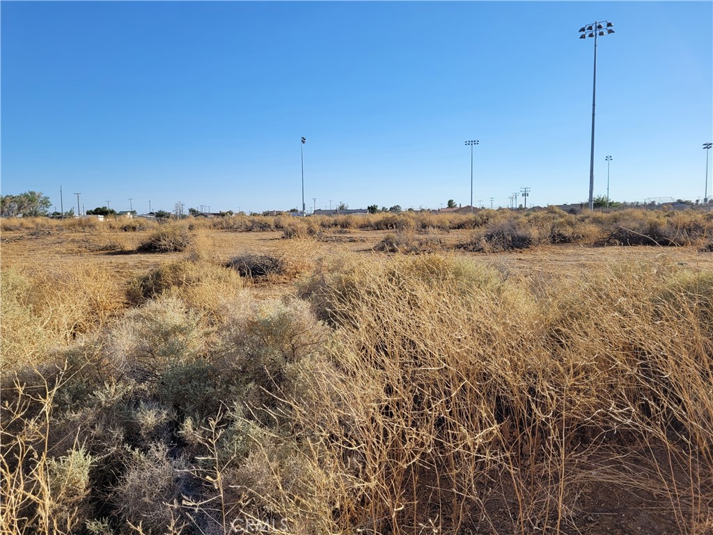 MLS #CV25189039 image #2