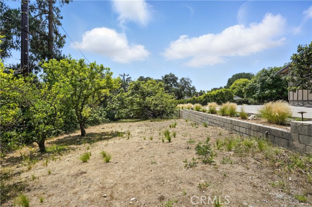 MLS #CV25194890 image #64