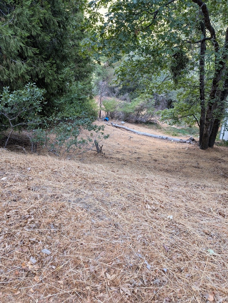 MLS #CV25196067 image #0