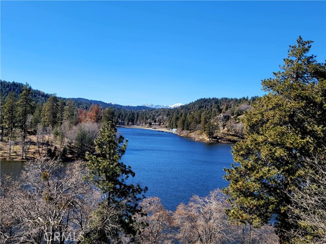 MLS #CV25197301 image #44