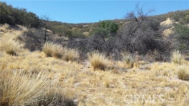 MLS #CV25210879 image #1