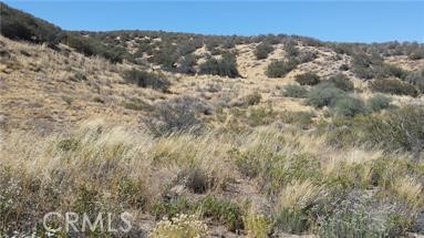 MLS #CV25210879 image #12