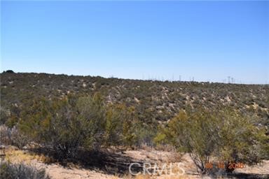 MLS #CV25210879 image #8