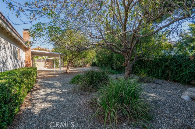 MLS #CV25220399 image #7