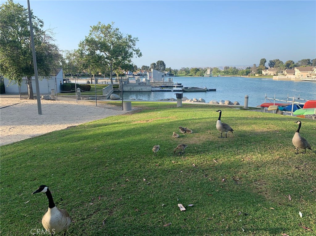 MLS #CV25223026 image #46