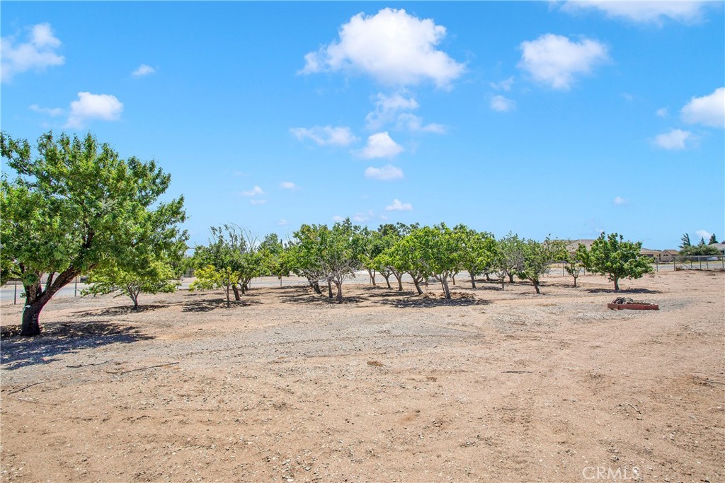 MLS #CV25232070 image #58