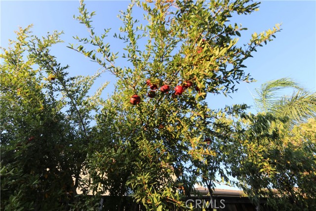 MLS #CV25232388 image #30