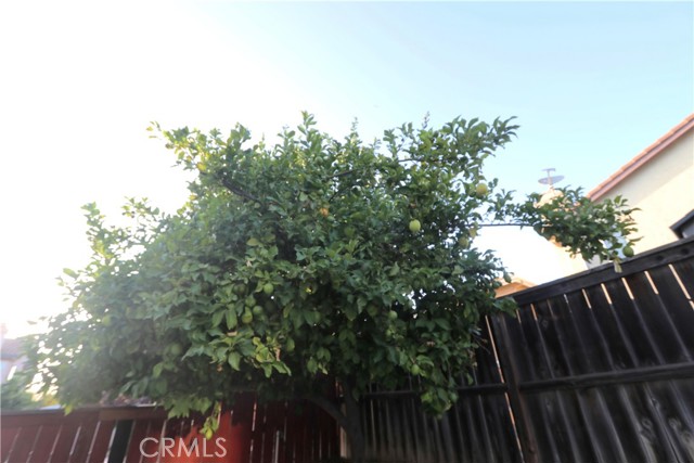 MLS #CV25232388 image #31