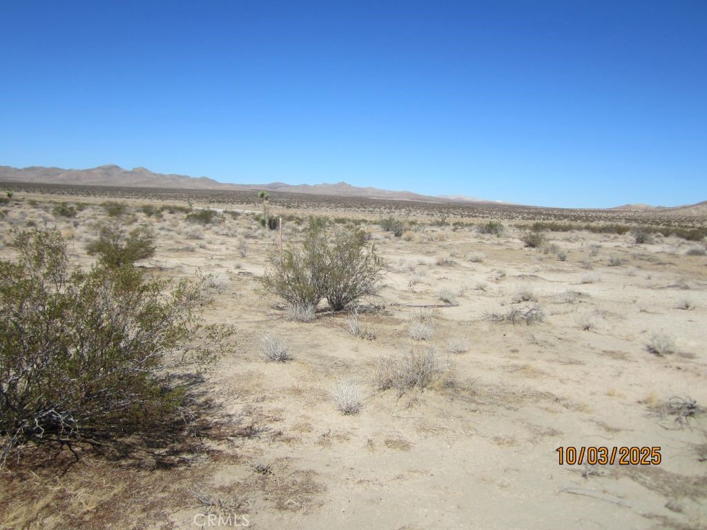 MLS #CV25233047 image #2