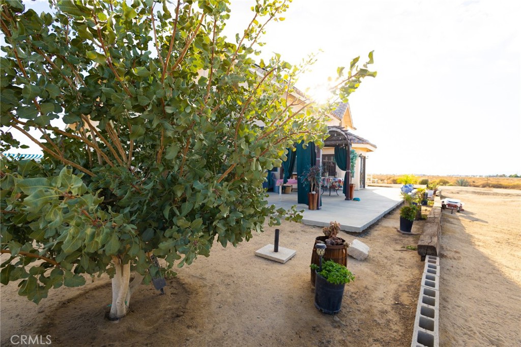 MLS #CV25233288 image #21