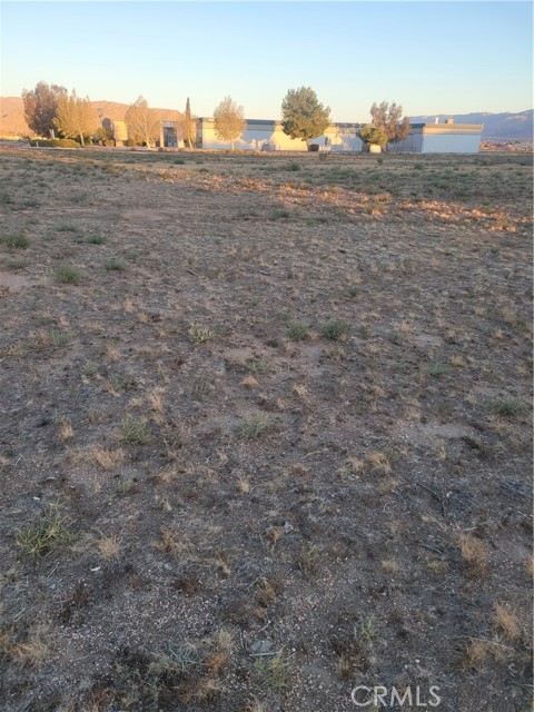 MLS #CV25239619 image #3