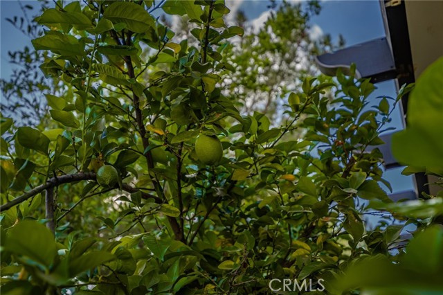 MLS #CV25240469 image #39