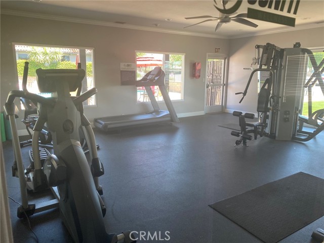 MLS #CV25241051 image #7