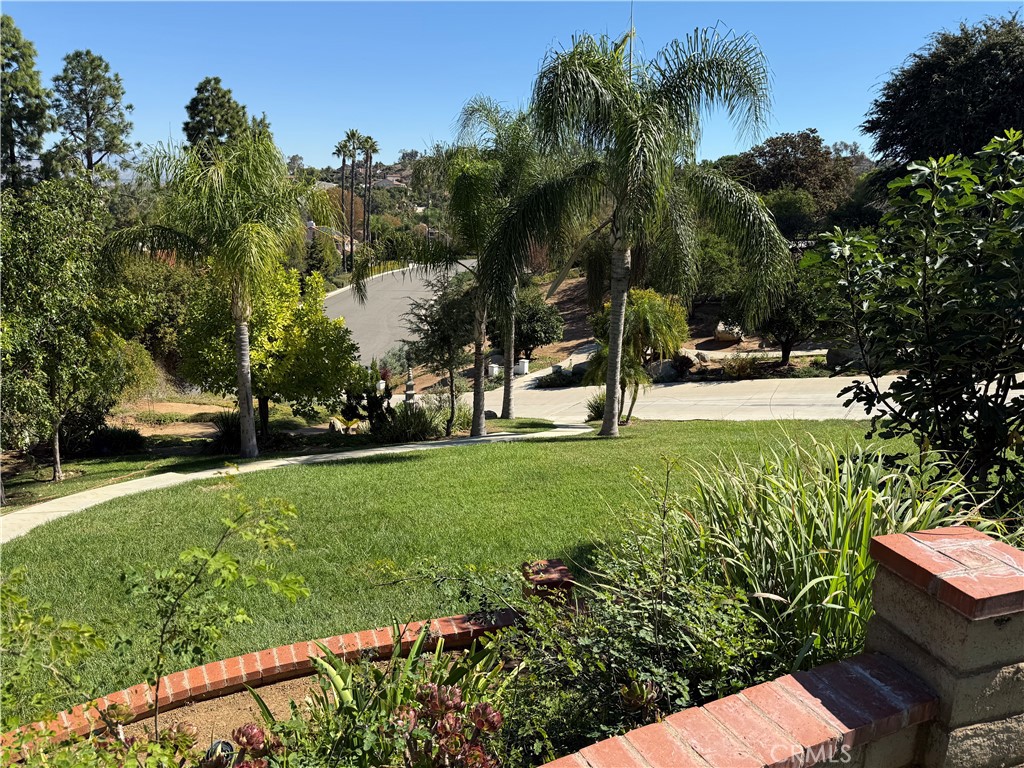 MLS #CV25244342 image #41