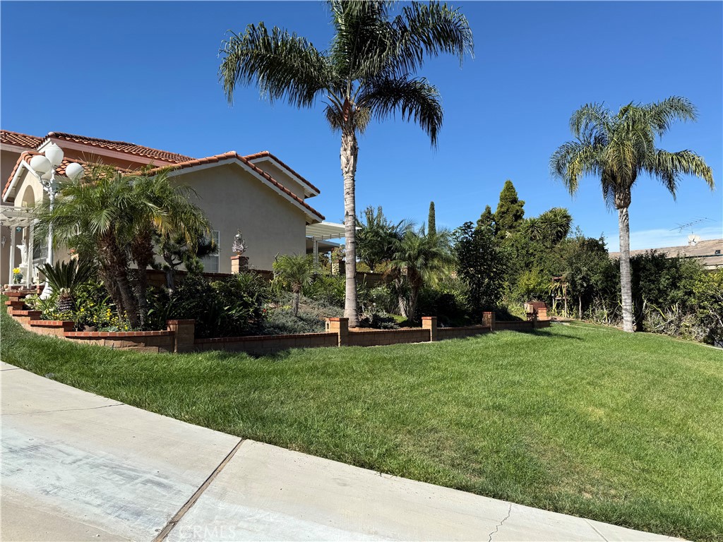 MLS #CV25244342 image #6