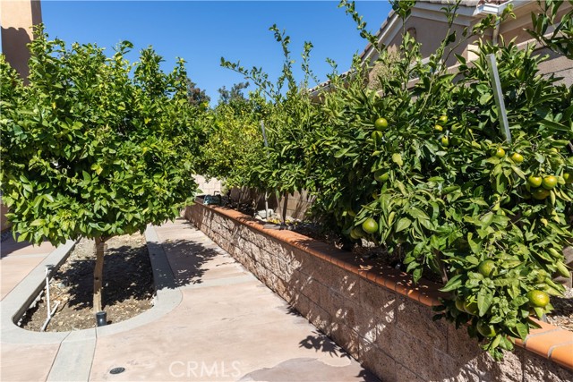 MLS #CV25251024 image #12