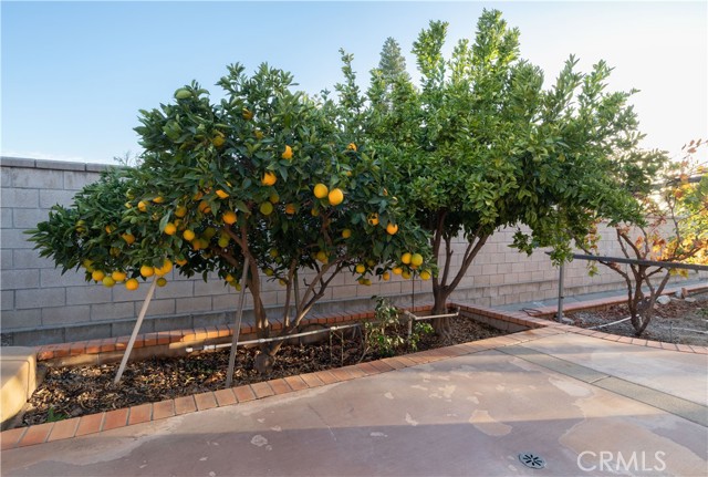 MLS #CV25251024 image #14