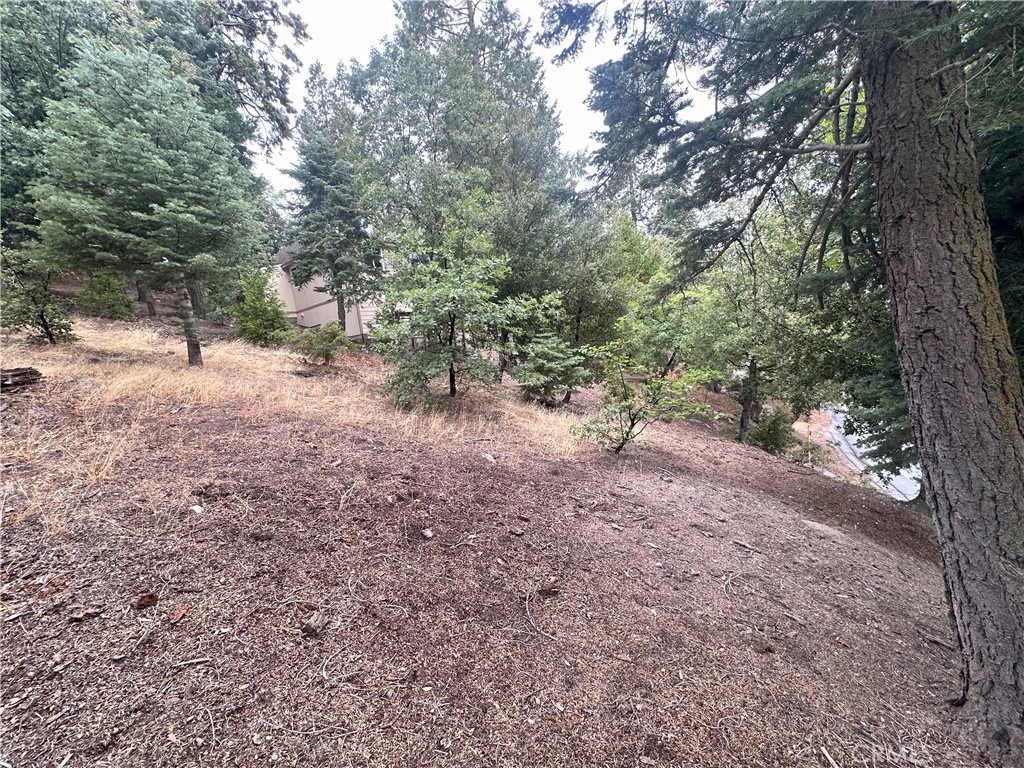 MLS #CV25261525 image #30