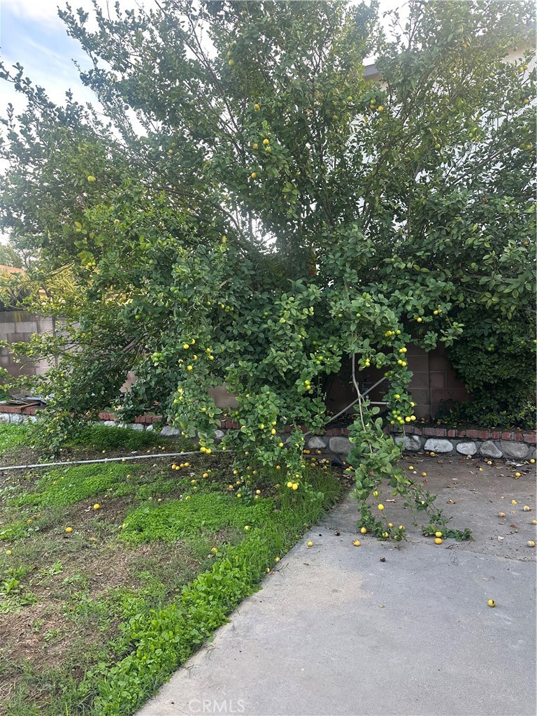 MLS #CV25262889 image #18