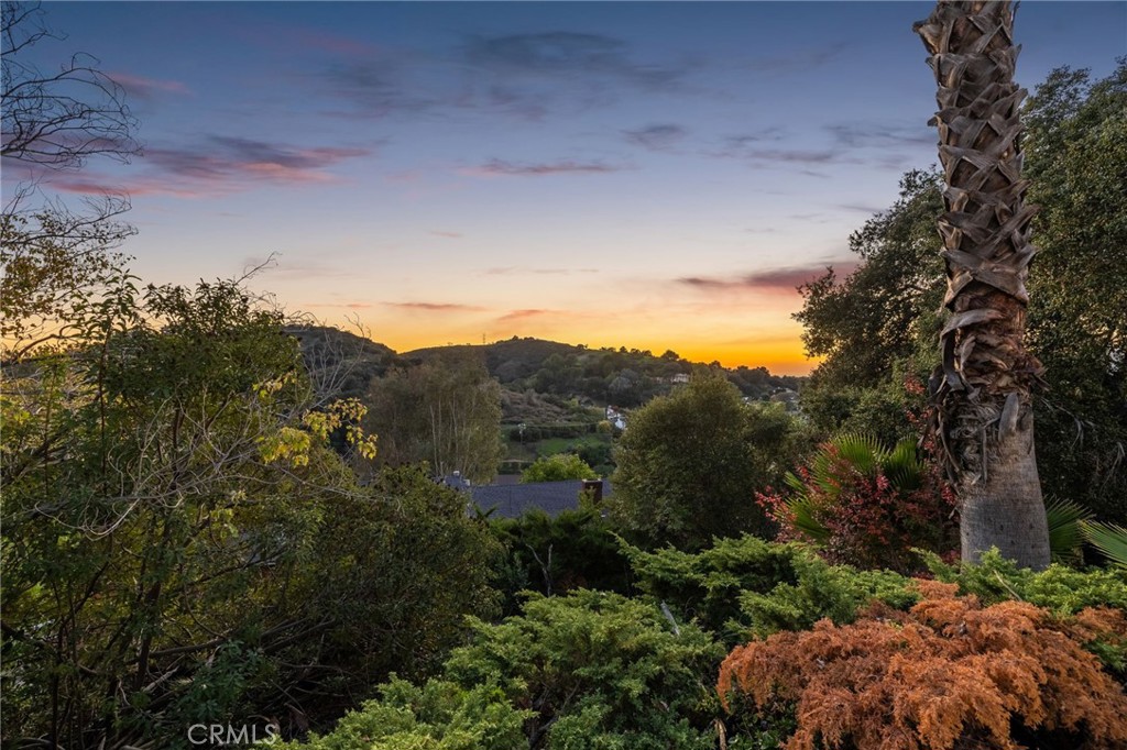 MLS #CV25270190 image #56