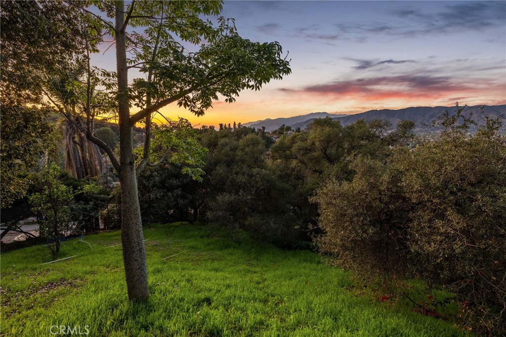 MLS #CV25270190 image #57