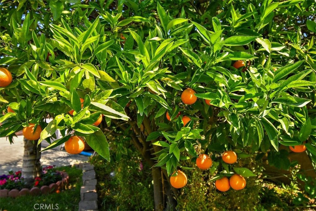 MLS #CV25272860 image #72