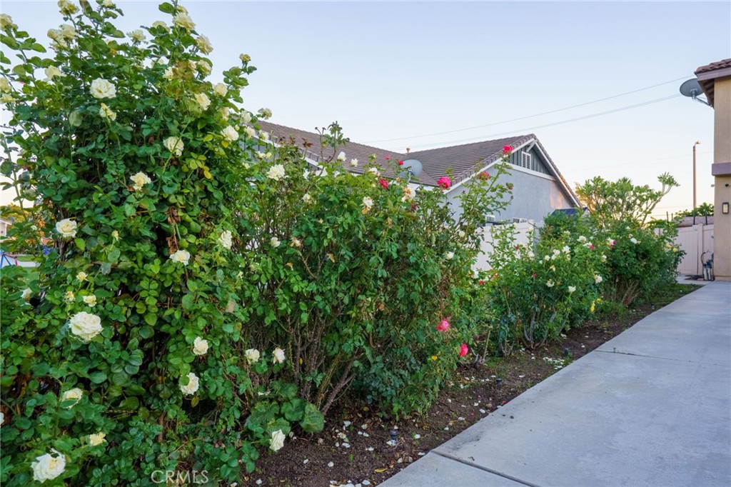 MLS #CV25275482 image #45