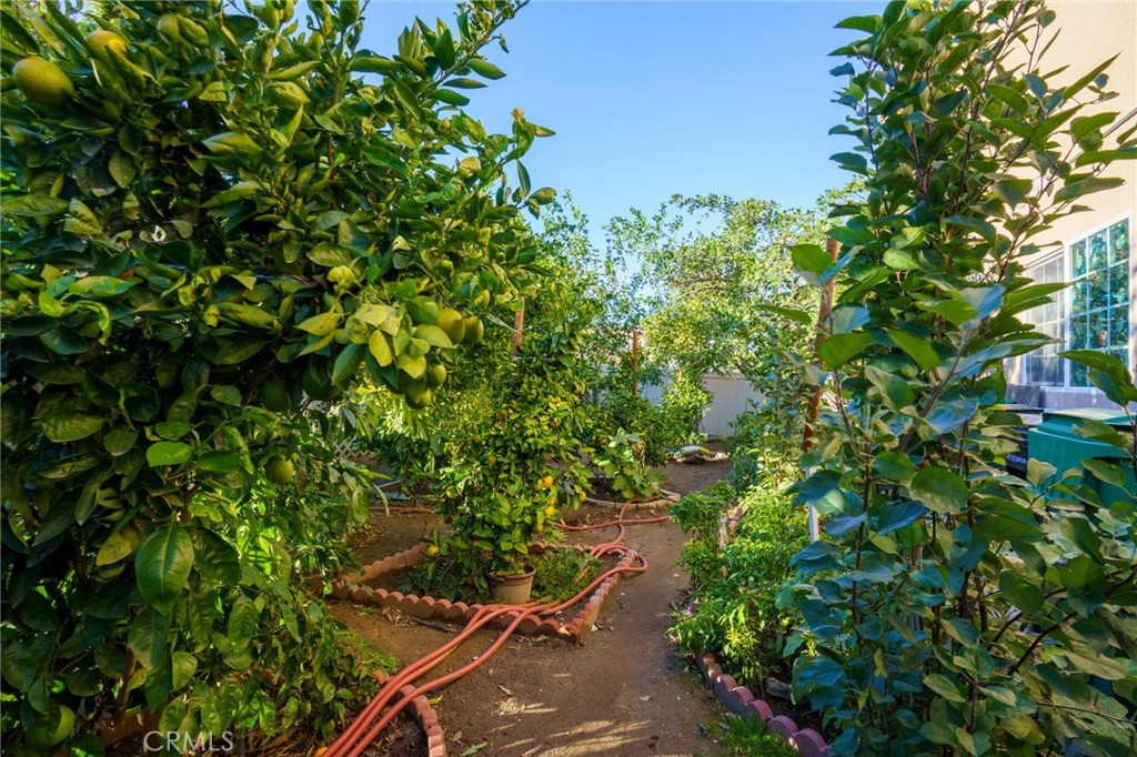 MLS #CV25275482 image #52