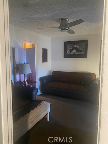 MLS #DW24254803 image #15