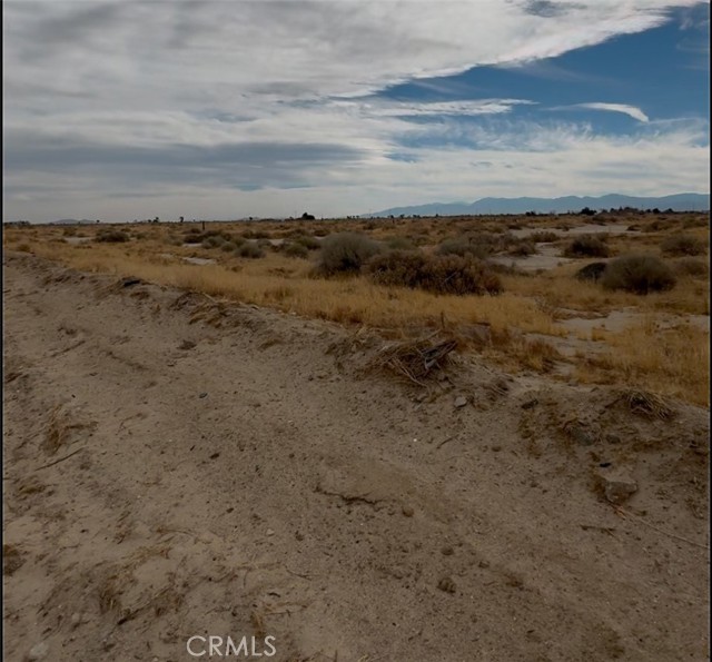 MLS #DW25026265 image #3