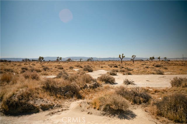 MLS #DW25026265 image #4