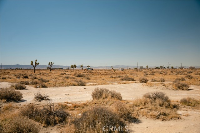 MLS #DW25026265 image #5