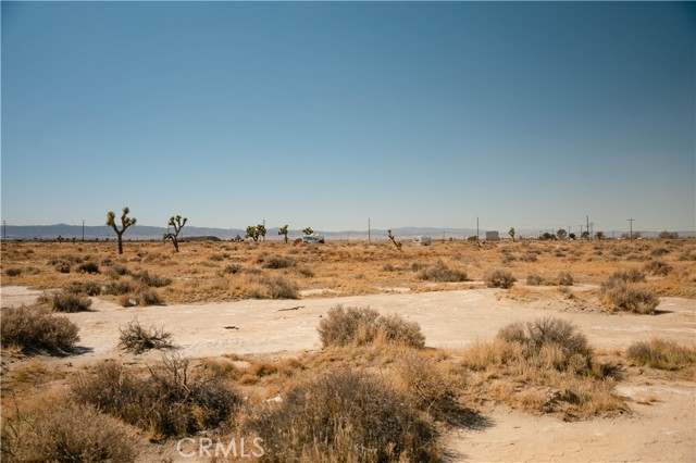 MLS #DW25026265 image #7