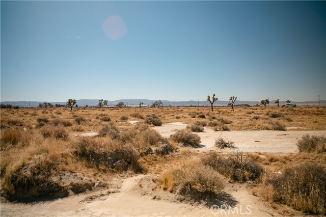 MLS #DW25026265 image #9