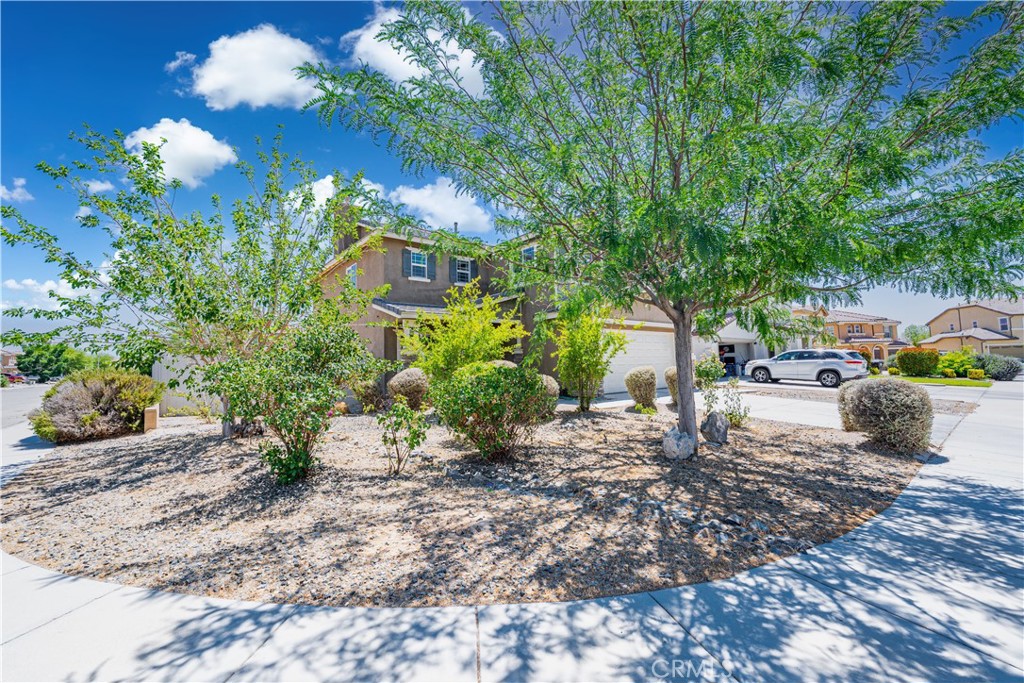 MLS #DW25121777 image #2